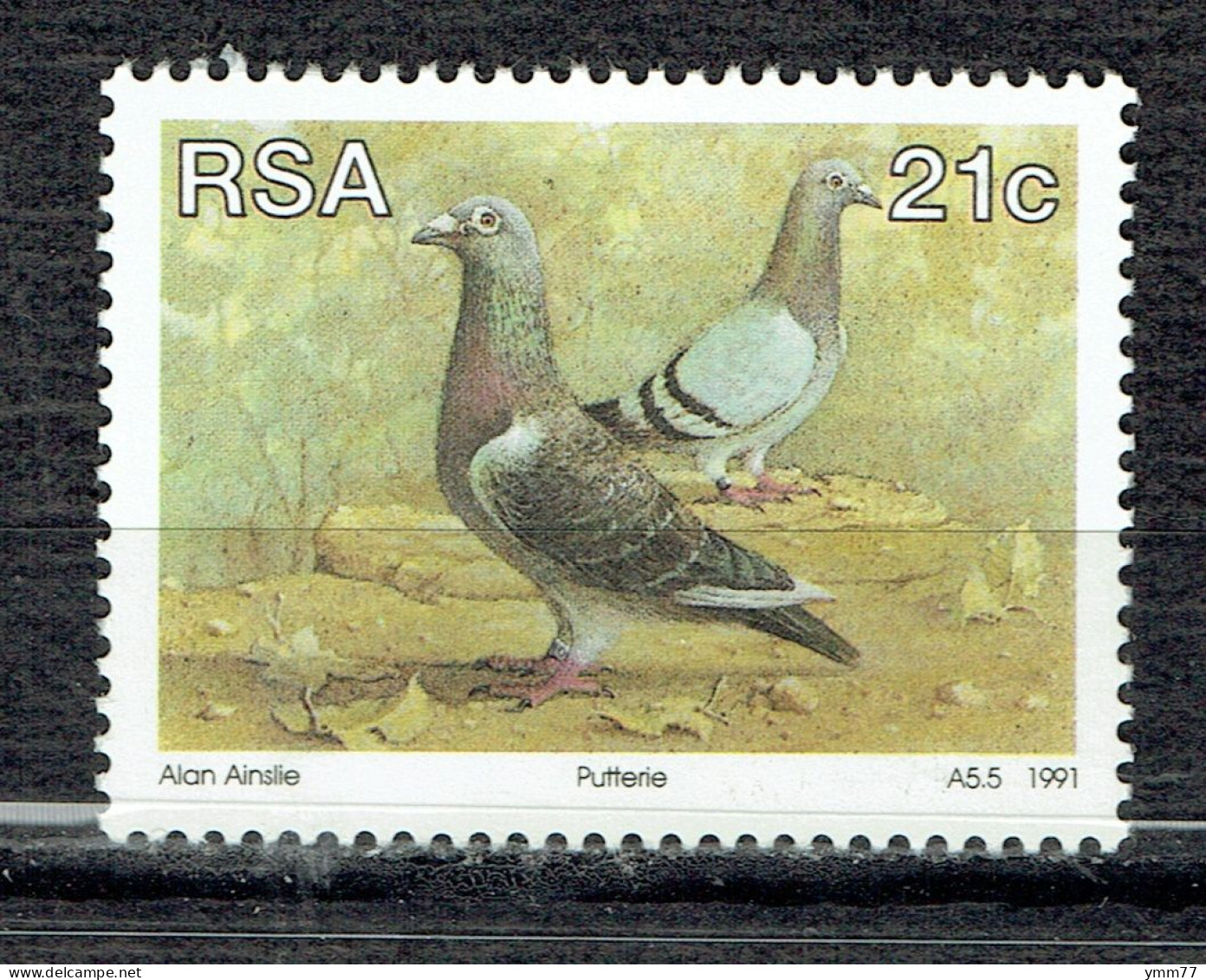 Animaux D'élevage D'Afrique Du Sud : Pigeons - Nuevos