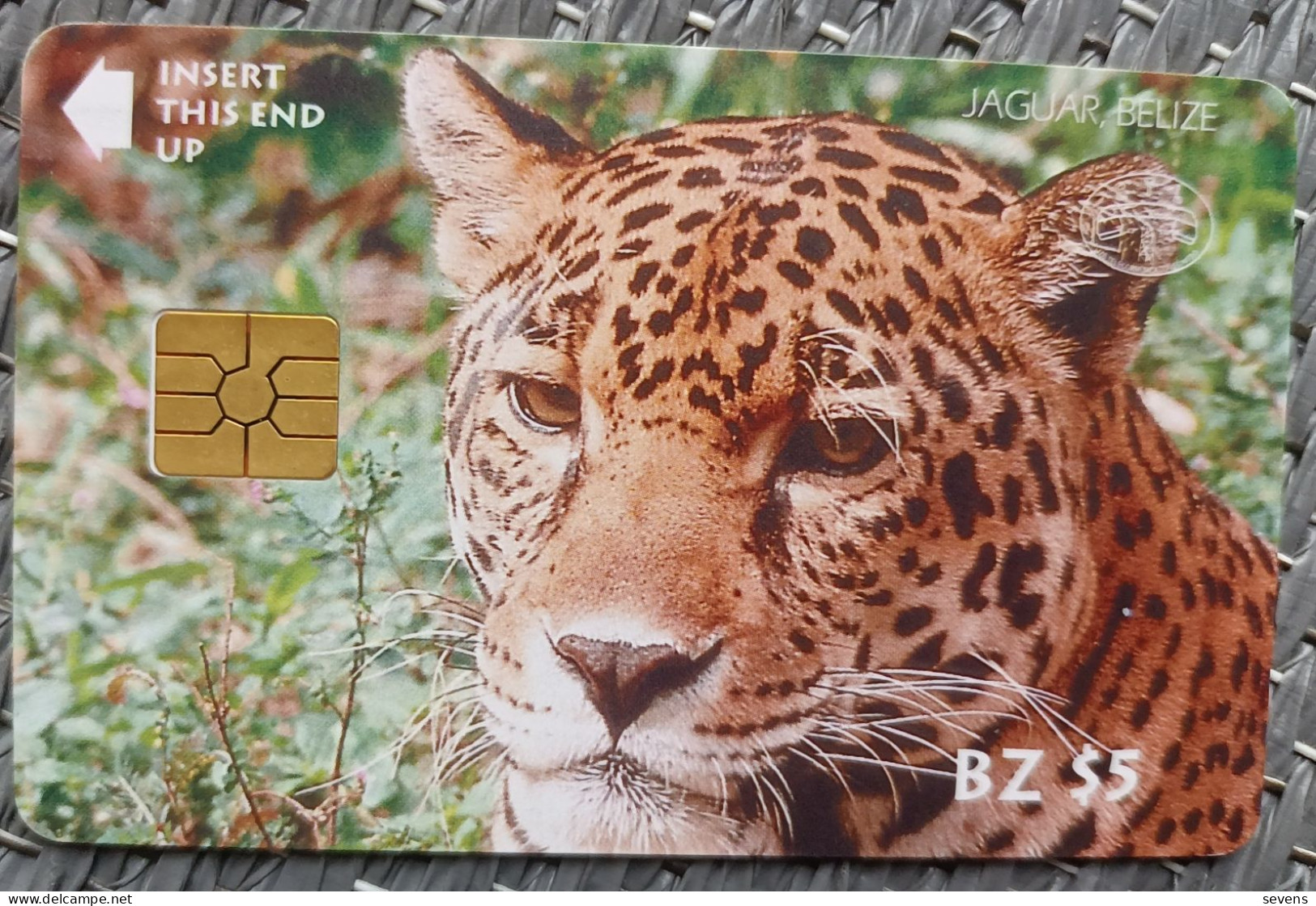 Chip Phonecard, Jaguar BZ$5 Facevalue,used - Belice