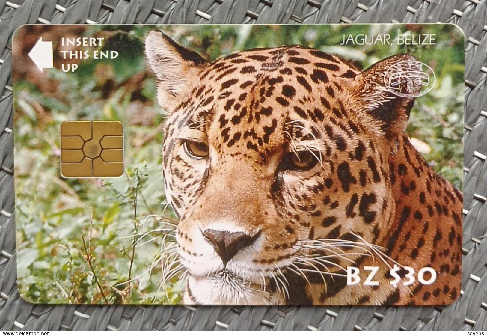 Chip Phonecard, Jaguar BZ$30 Facevalue,used - Belize