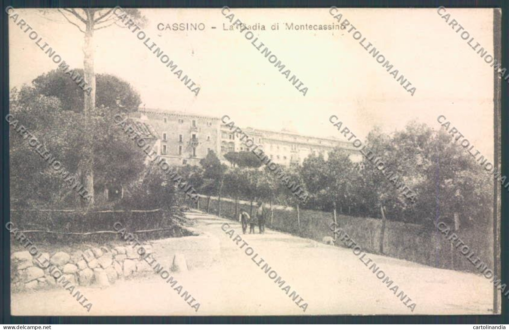 Frosinone Cassino Cartolina ZB7097 - Frosinone