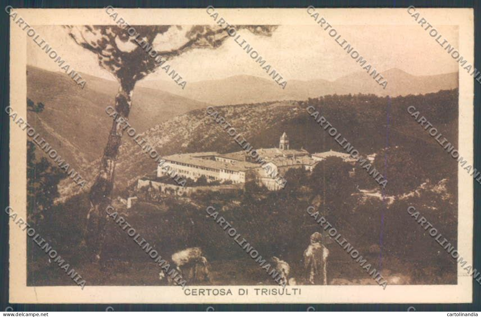 Frosinone Alatri Certosa Di Trisulti Cartolina ZB7103 - Frosinone