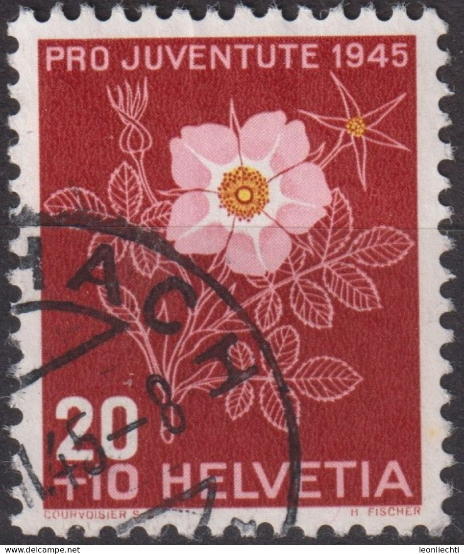 1945 Schweiz Pro Juventute ° Mi:CH 467, Yt:CH 425, Zum:CH J115, Alpenheckenrose - Oblitérés