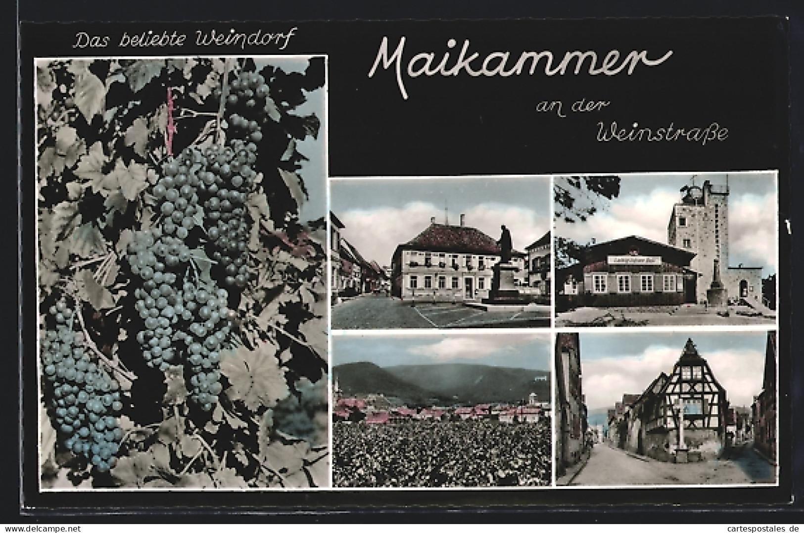 AK Maikammer An Der Weinstrasse, Strassenpartien Und Ludwigshafener Hütte  - Ludwigshafen
