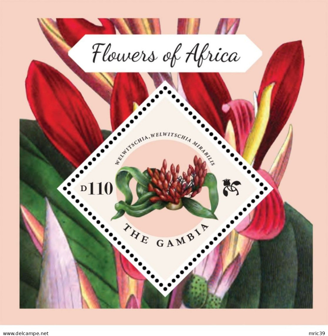 Bloc Sheet Fleurs  Flowers  Neuf  MNH ** Gambie Gambia 2013 - Andere & Zonder Classificatie