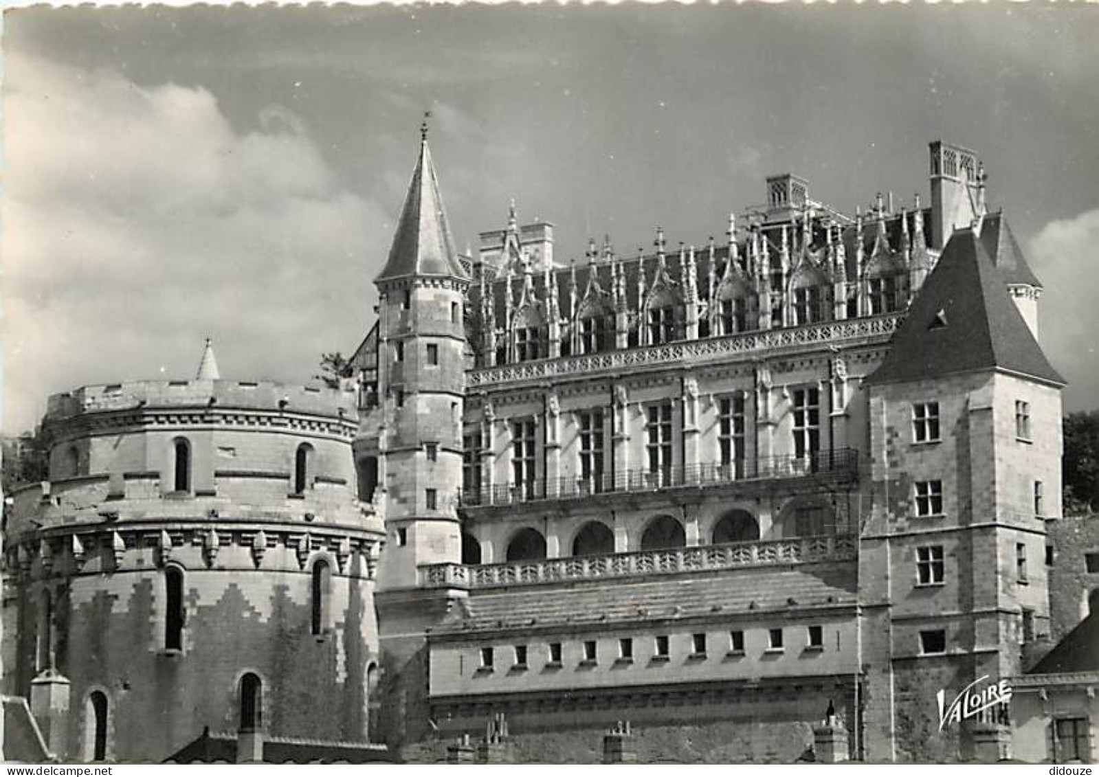 37 - Amboise - Le Château - La Tour Des Minimes Et Le Logis Du Roi - Mention Photographie Véritable - Carte Dentelée - C - Amboise