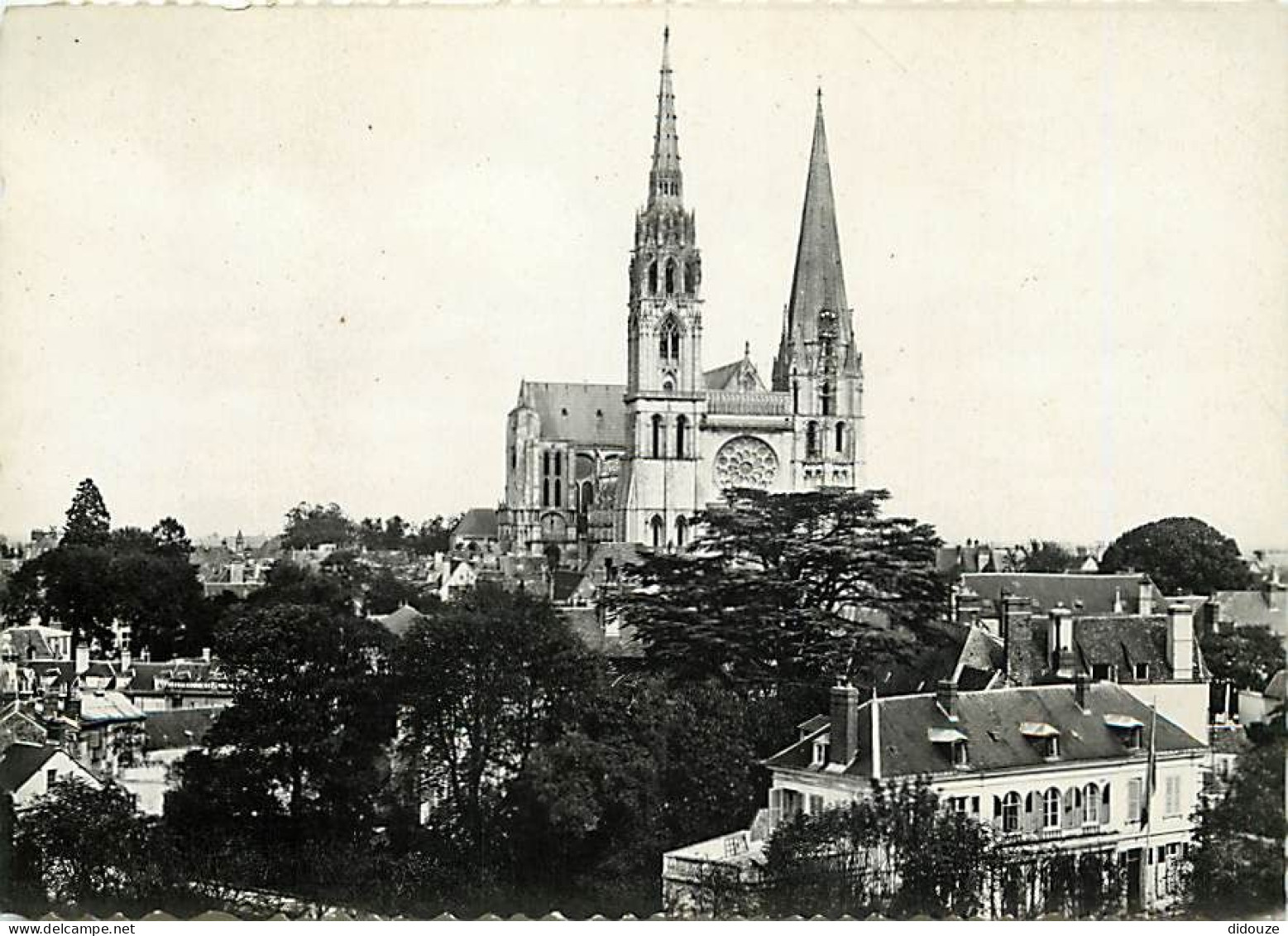 28 - Chartres - La Cathédrale - Carte Dentelée - CPSM Grand Format - Voir Scans Recto-Verso - Chartres