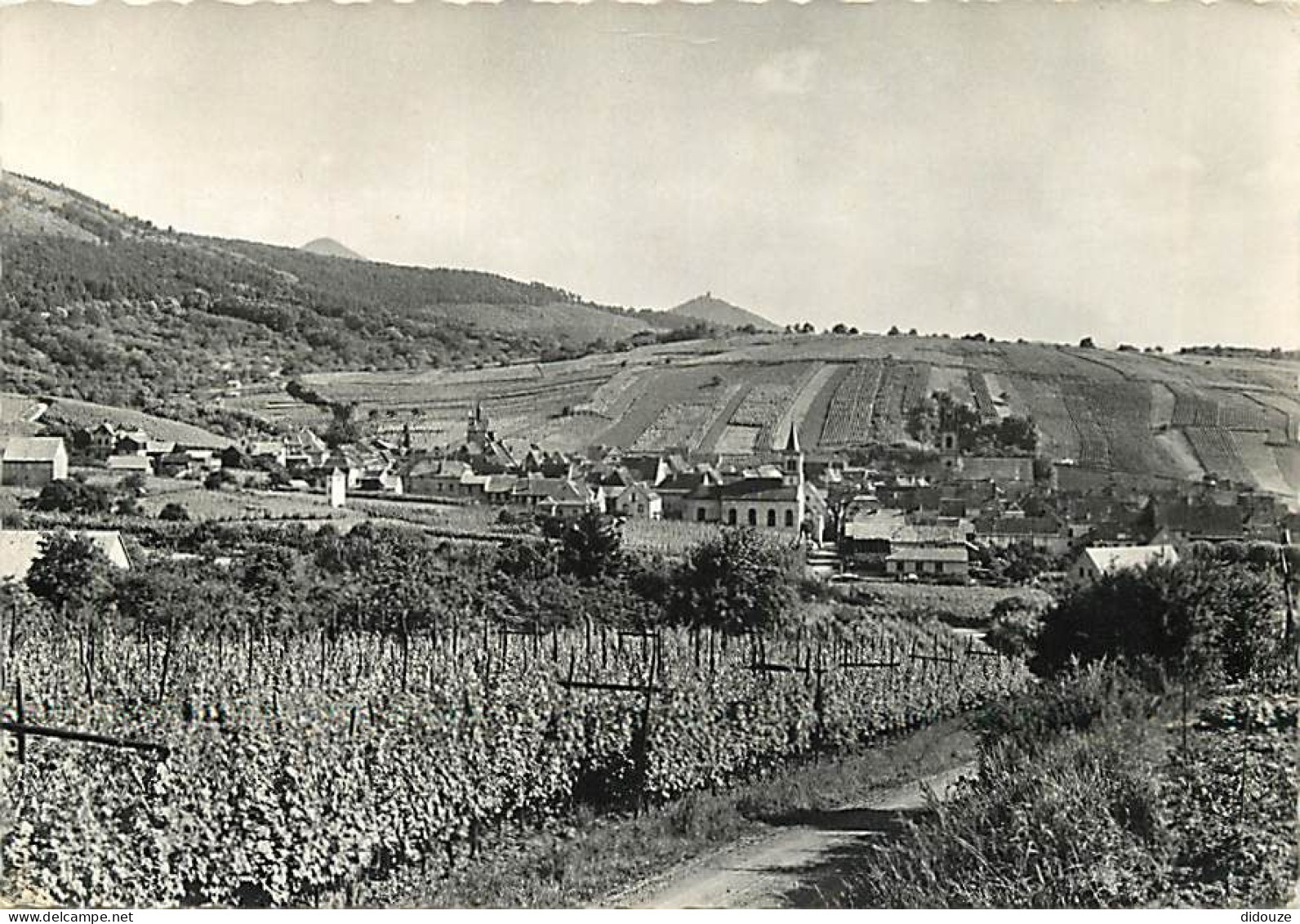 68 - Riquewihr - Vue Générale - Mention Photographie Véritable - CPSM Grand Format - Carte Neuve - Voir Scans Recto-Vers - Riquewihr