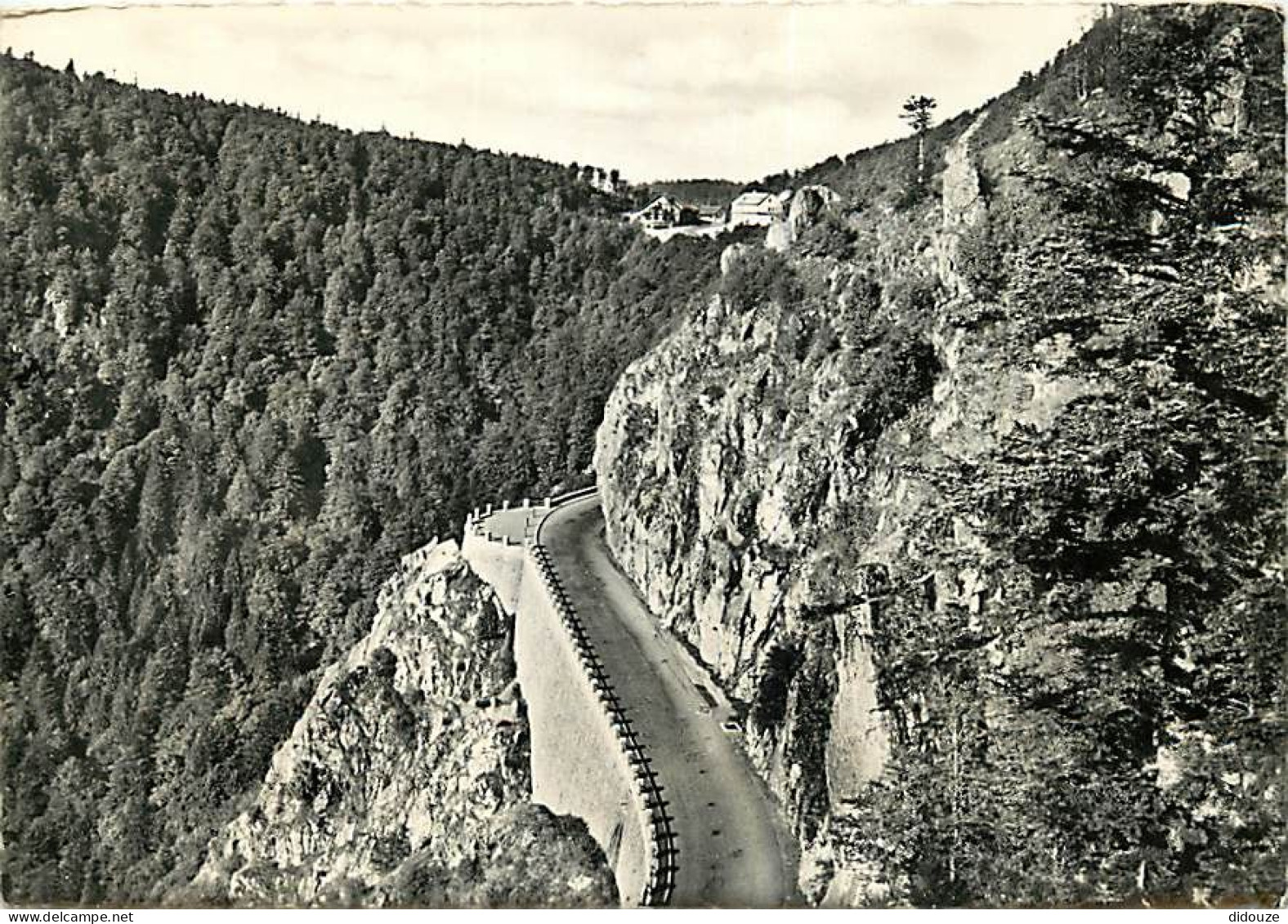 68 - La Schlucht - Route Et Col De La Schlucht - CPSM Grand Format - Voir Scans Recto-Verso - Altri & Non Classificati