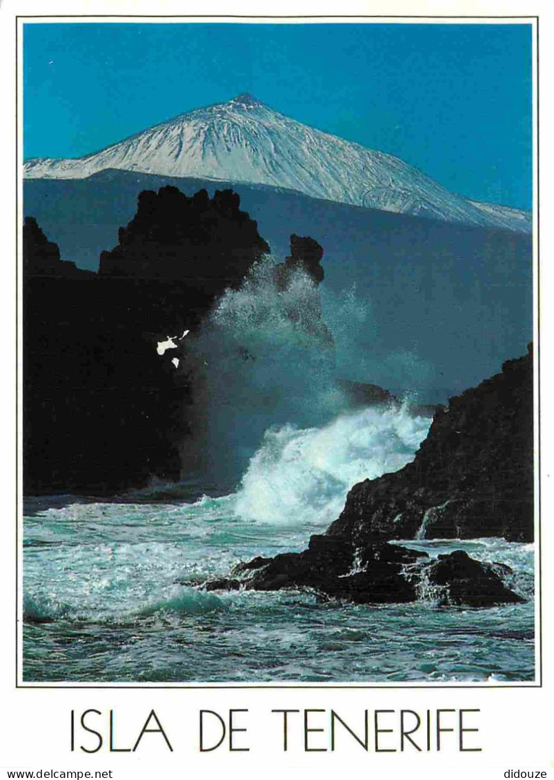 Espagne - Espana - Islas Canarias - Tenerife - Mesa Del Mar - La Paz Del Teide Nevado Y La Fuerza Del Oceano En La Etema - Tenerife