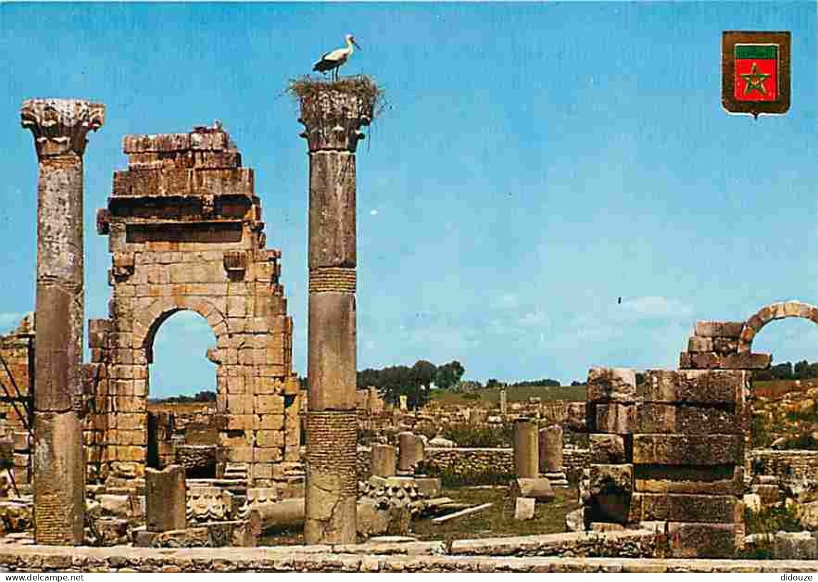 Maroc - Volubilis - Ruines Du Temple - Carte Neuve - CPM - Voir Scans Recto-Verso - Otros & Sin Clasificación