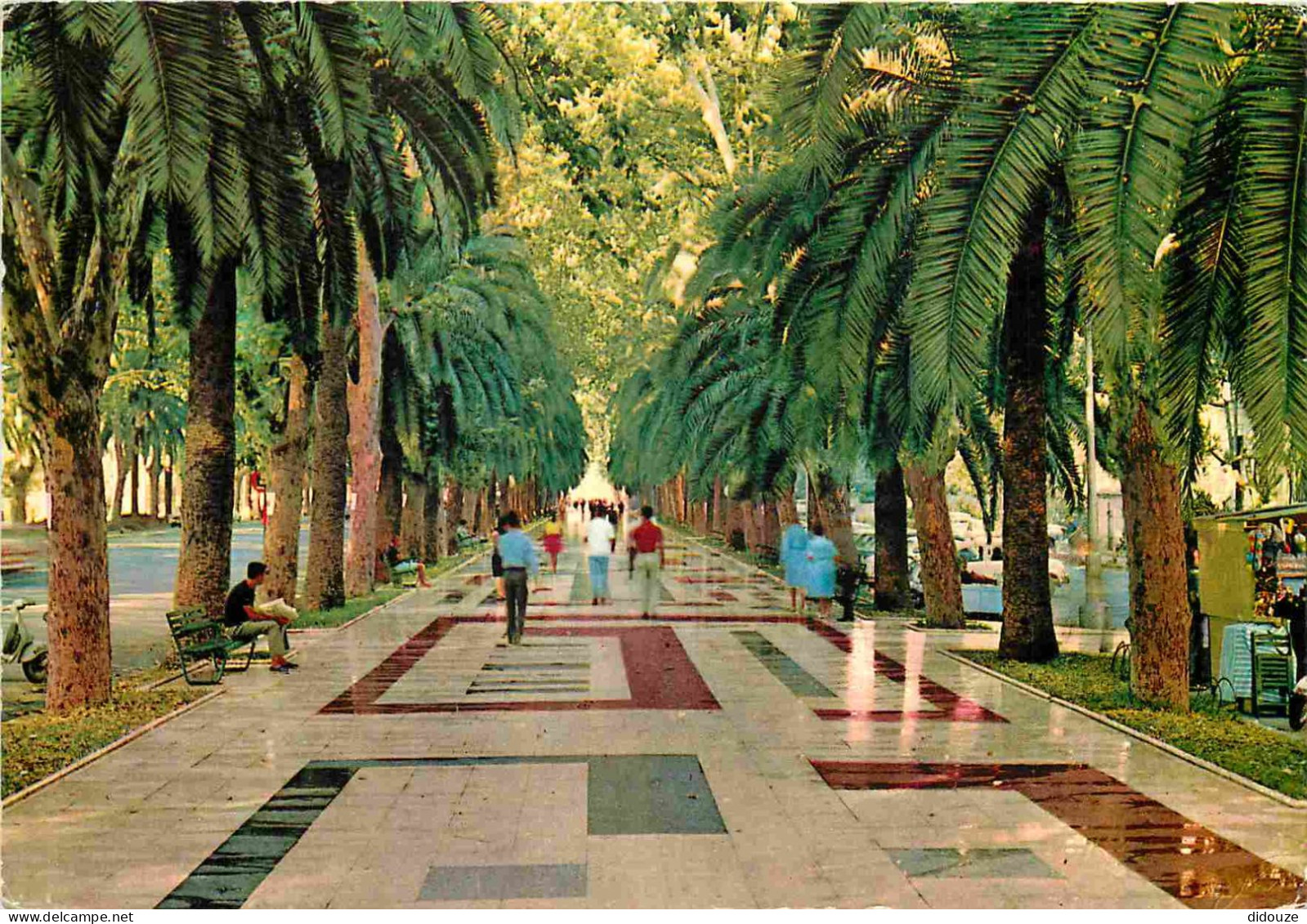 Espagne - Espana - Andalucia - Malaga - Paseo Del Parque - Espana - CPM - Voir Scans Recto-Verso - Málaga