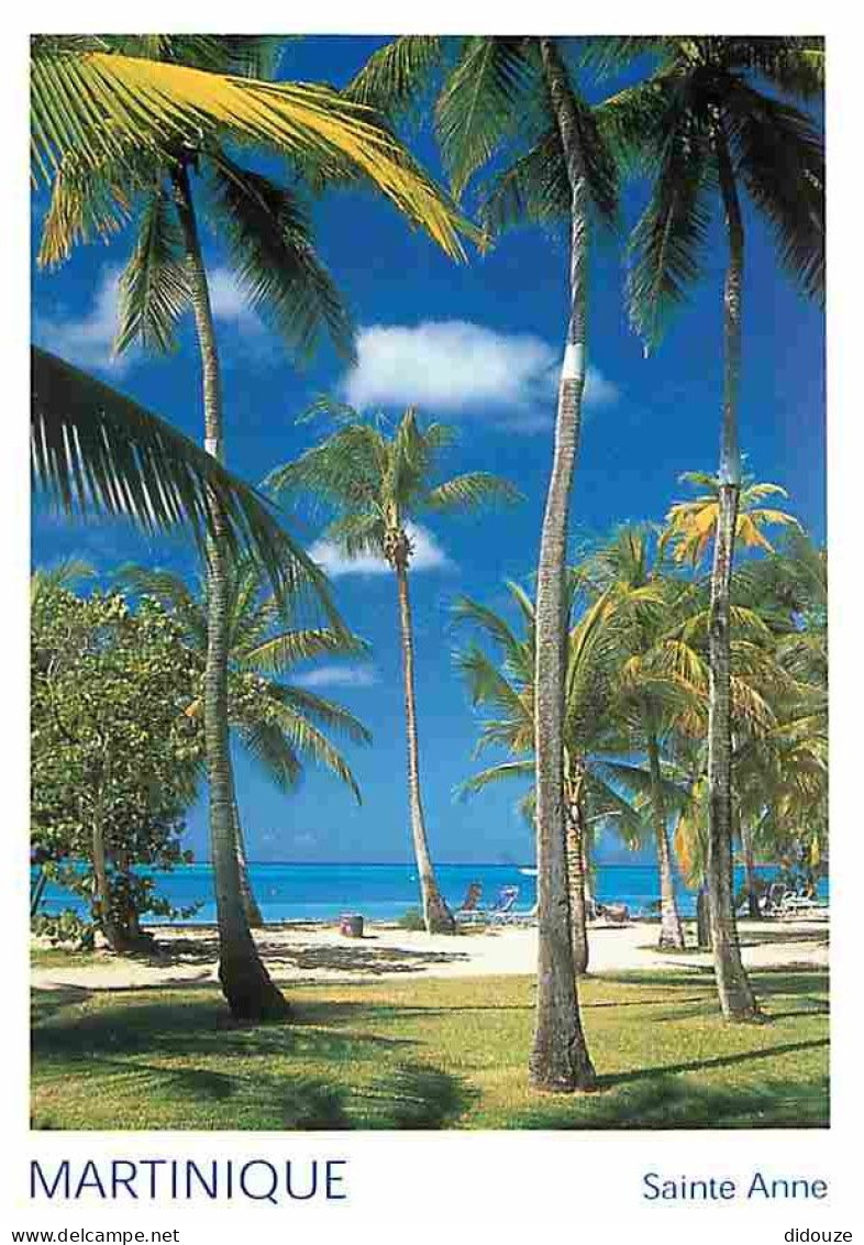 Martinique - Sainte Anne - Plages - CPM - Voir Scans Recto-Verso - Autres & Non Classés