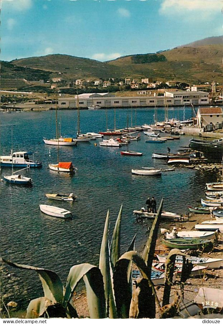 66 - Port Vendres - Le Port De Plaisance - CPM - Voir Scans Recto-Verso - Port Vendres