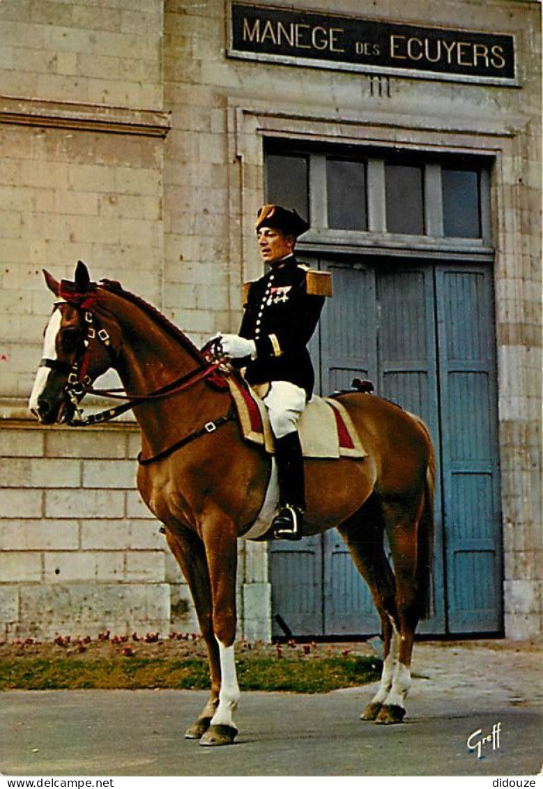 Animaux - Chevaux - Saumur - Le Cadre Noir - Officier Du Cadre Noir - Carte Neuve - CPM - Voir Scans Recto-Verso - Horses