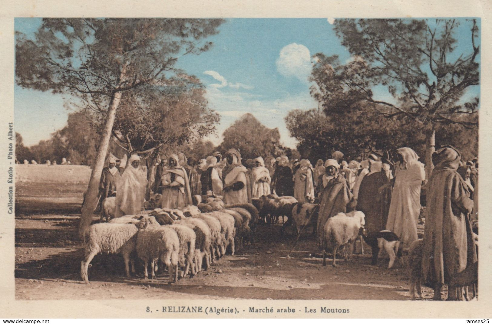 (265) CPA  Relizane  Marché Arabe Les Moutons - Andere & Zonder Classificatie