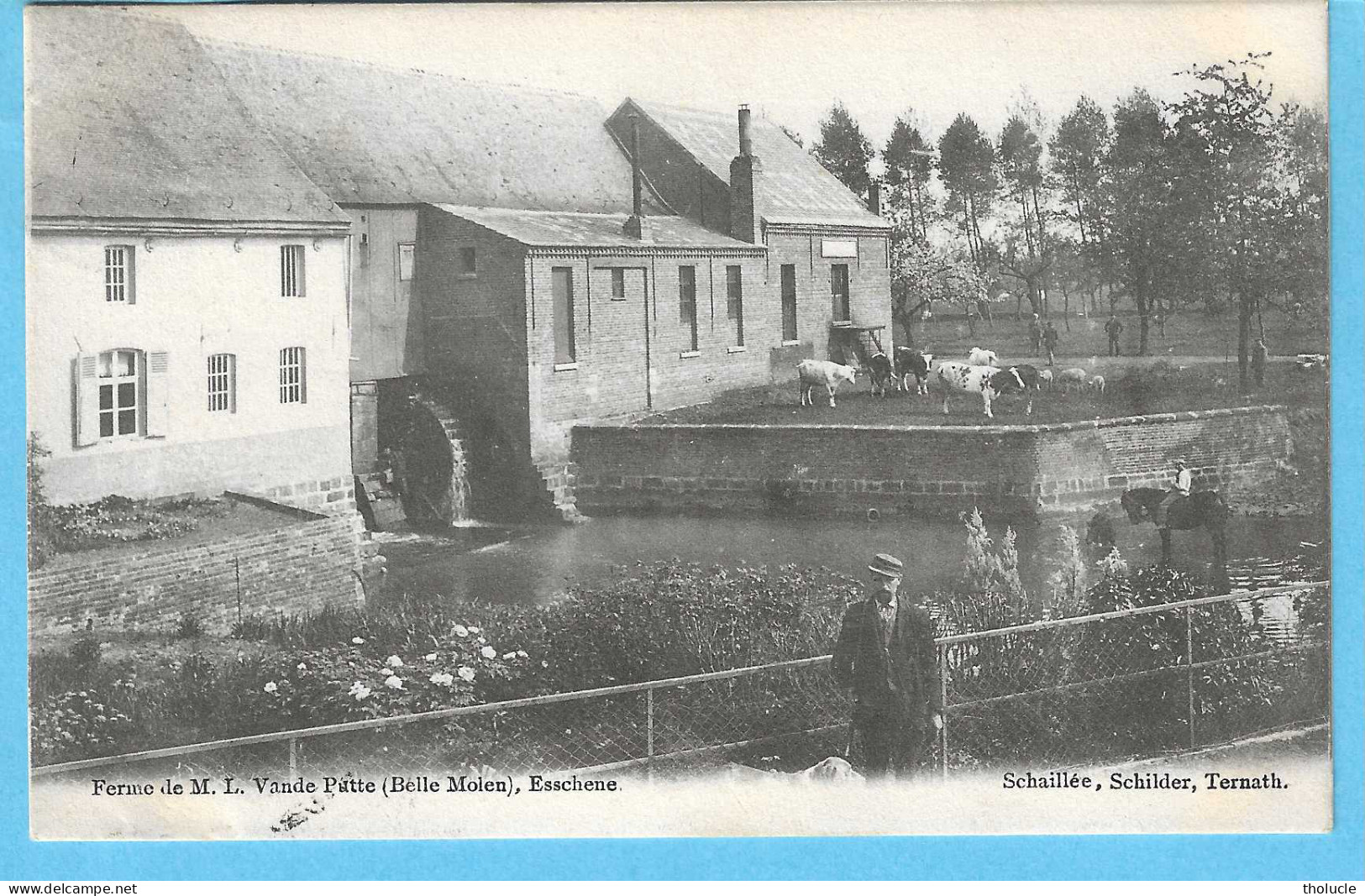 Essene-Esschene-Affligem-1903-Ferme-de Hofstede M.L.Vande Putte-Belle Molen -Bellemolen-Uitg.Scaillée,Ternath-Très Rare - Affligem