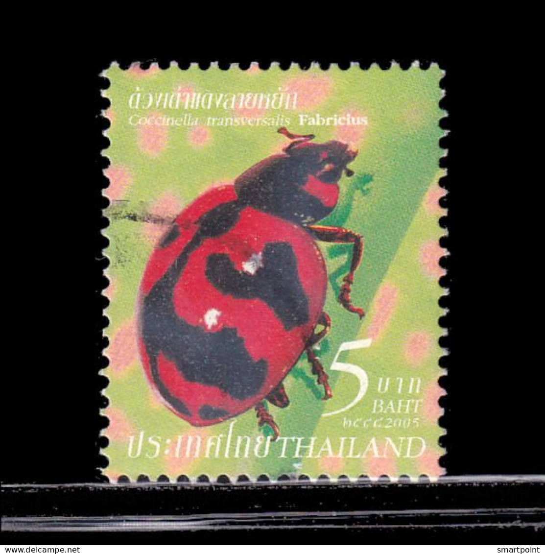 Thailand Stamp 2005 Insects (3rd Series) 5 Baht - Used - Thaïlande