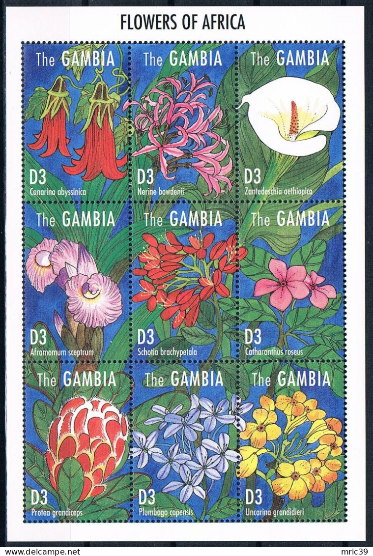 Bloc Sheet Fleurs  Flowers  Neuf  MNH ** Gambie Gambia 1999 - Orchidées