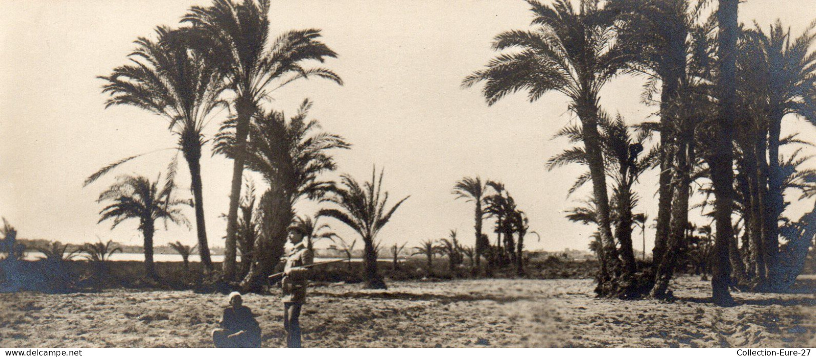 (24/04/24) EGYPTE-CPSM ALEXANDRIE - Alexandrië