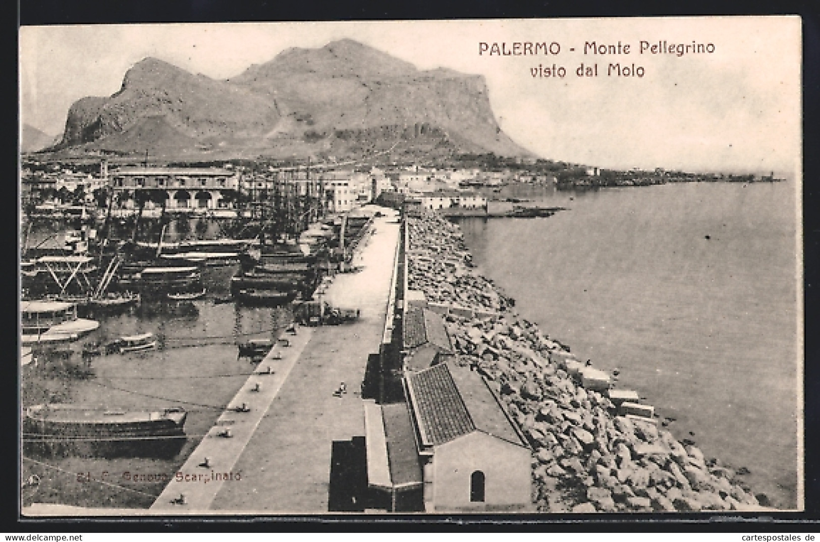Cartolina Palermo, Monte Pellegrino Visto Dal Molo  - Palermo