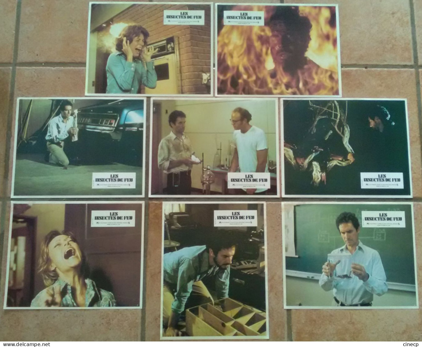 8 PHOTO FILM LES INSECTES DE FEU ALAN FUDGE 1975 BE CINEMA HORREUR EPOUVANTE LOBBY CARDS - Photographs