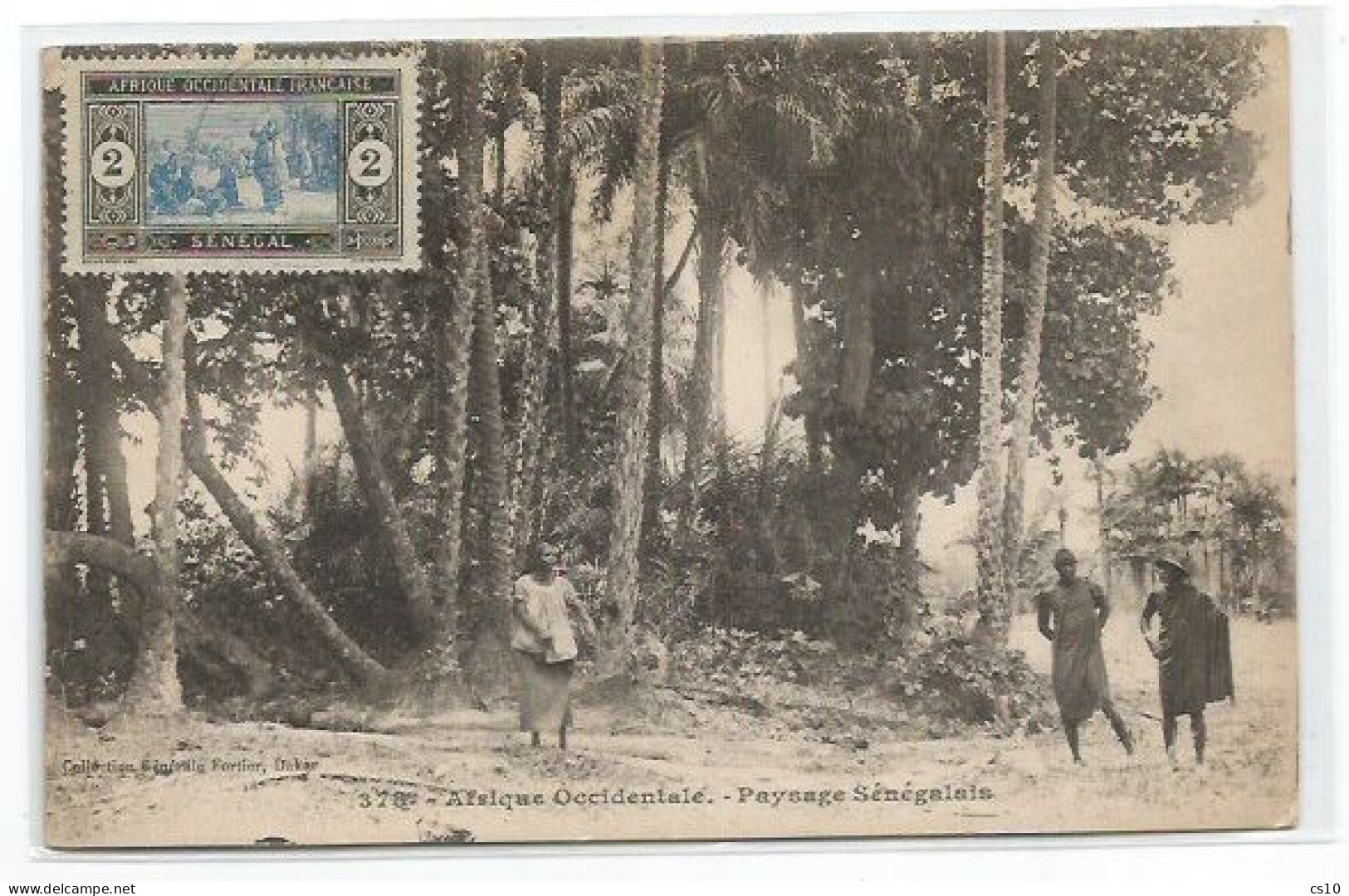 Senegal Francais AOF Paysage Senegalais B/w Pcard Avec AOF  Tp - Non Voyagée - Senegal