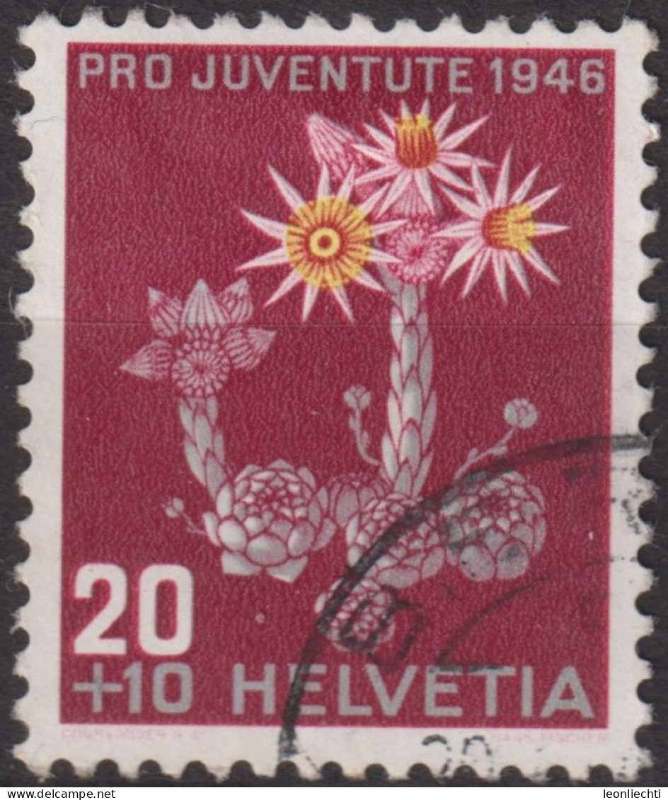 1946 Schweiz Pro Juventute ° Mi:CH 477, Yt:CH 435, Zum:CH J119, Berghauswurz - Gebraucht