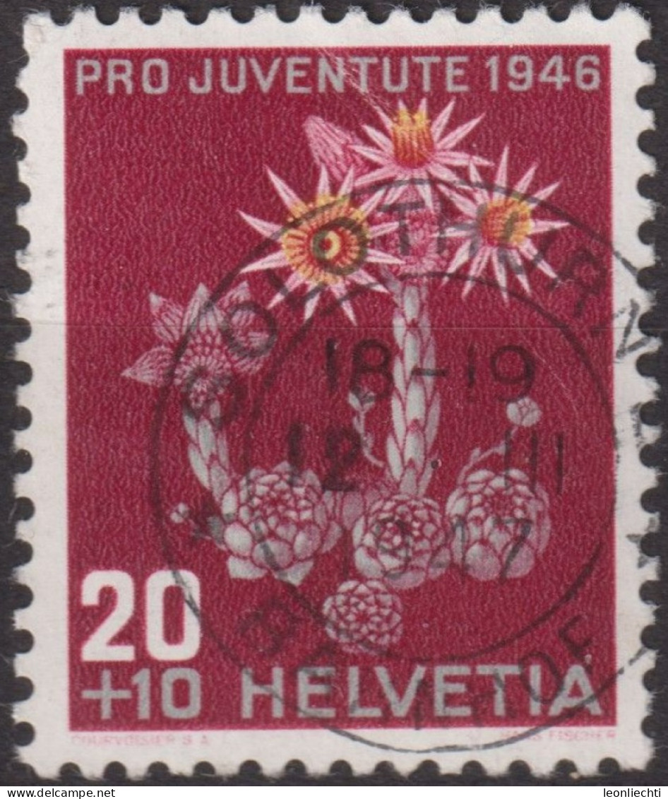 1946 Schweiz Pro Juventute ° Mi:CH 477, Yt:CH 435, Zum:CH J119, Berghauswurz - Used Stamps