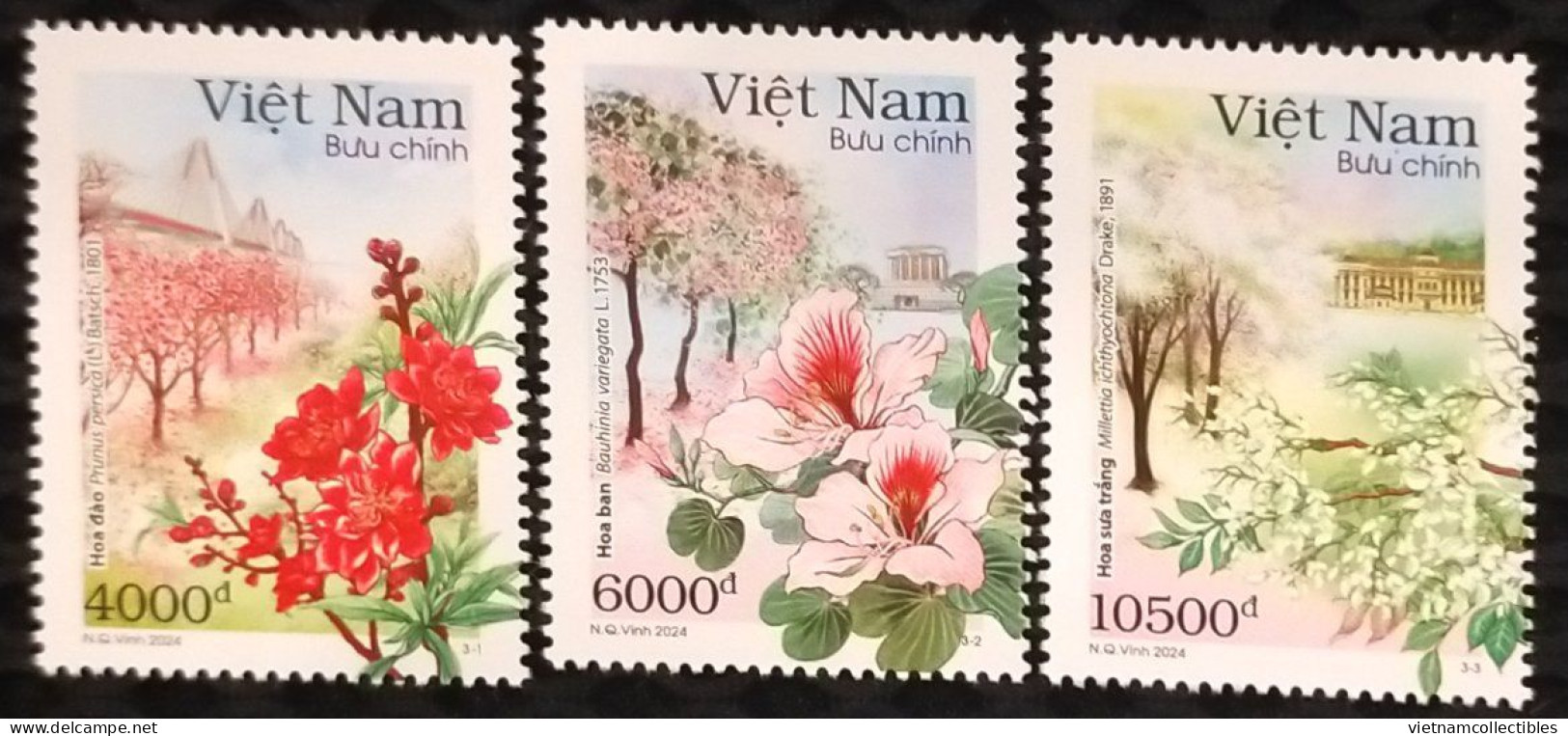 Set Of 03 Viet Nam Vietnam MNH Perf Stamps Issued On Apr 26, 2024 : 12 Flower Seasons In Hanoi (series 1) (Ms1188)) - Viêt-Nam