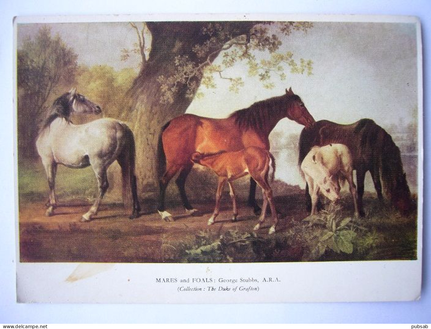 Cheval / Paard / Horse / MARES And FOALS : George Stubbs, A.R.A. - Horses