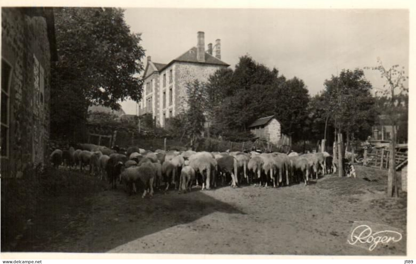 15 - Cantal - Neuvéglise  - Troupeau De Moutons - Le Rassemblement - 6994 - Sonstige & Ohne Zuordnung