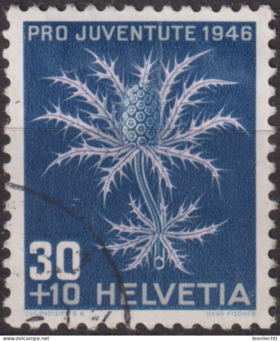 1946 Schweiz Pro Juventute ° Mi:CH 478, Yt:CH 436, Zum:CH J120, Alpenmannstreu - Used Stamps