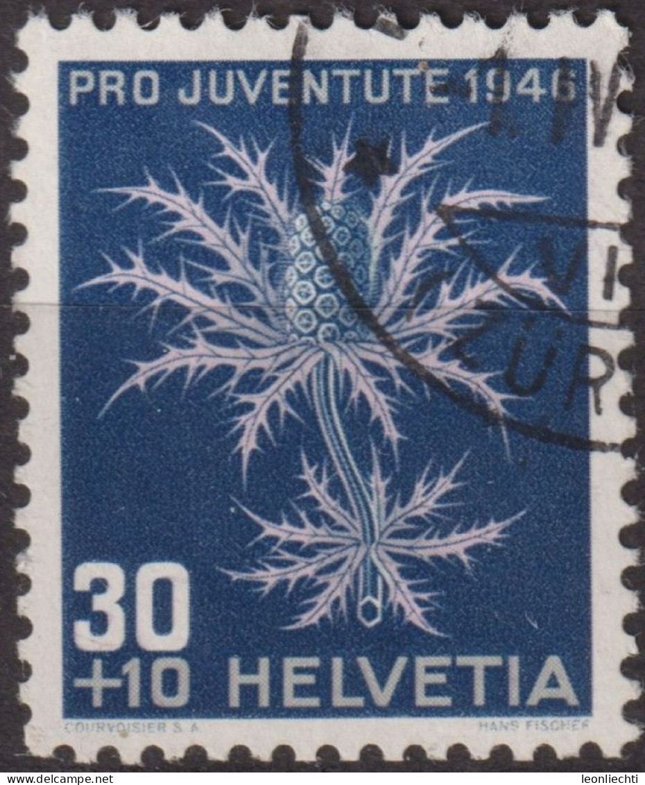 1946 Schweiz Pro Juventute ° Mi:CH 478, Yt:CH 436, Zum:CH J120, Alpenmannstreu - Used Stamps