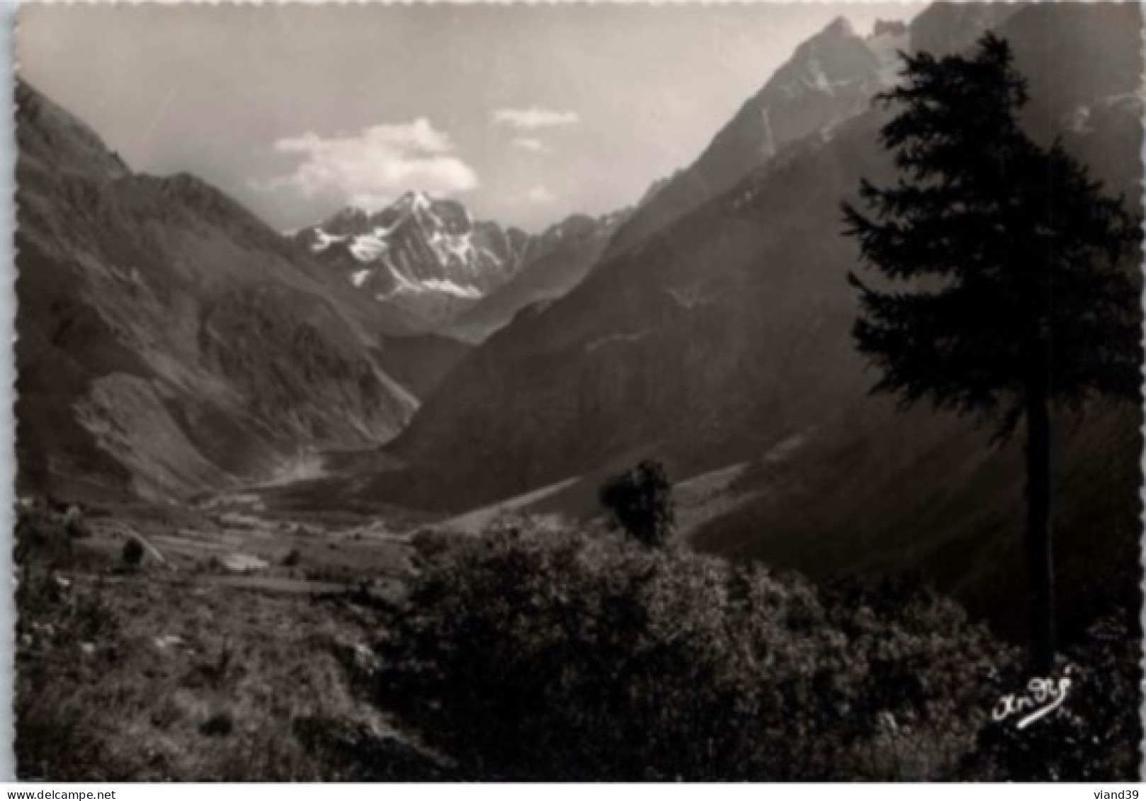 De LA GRAVE Au LAUTARET. . -   Pied Du Col Au Fond Glacier D'Arsine Et Pic De Neige Cordier. .    Non Circulée. - Autres & Non Classés