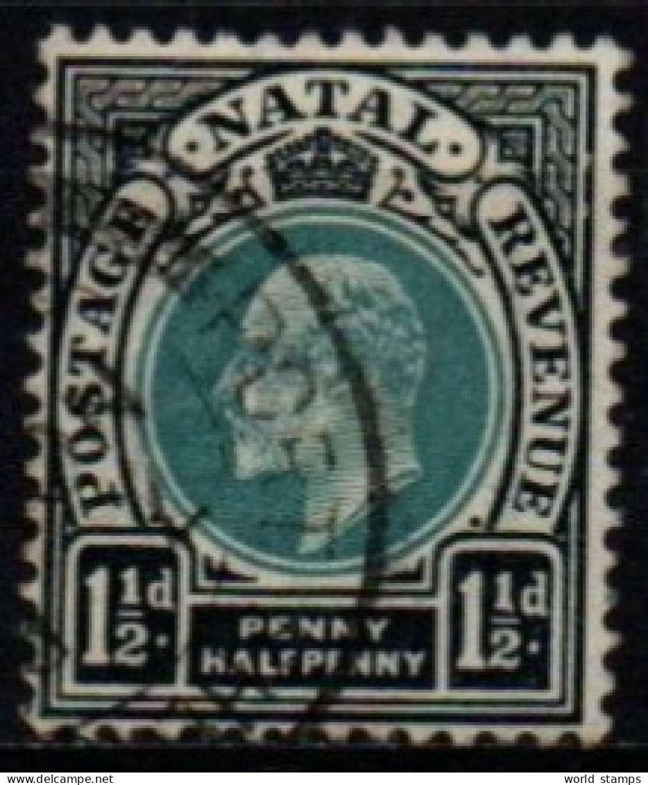 NATAL 1902-3 O - Natal (1857-1909)