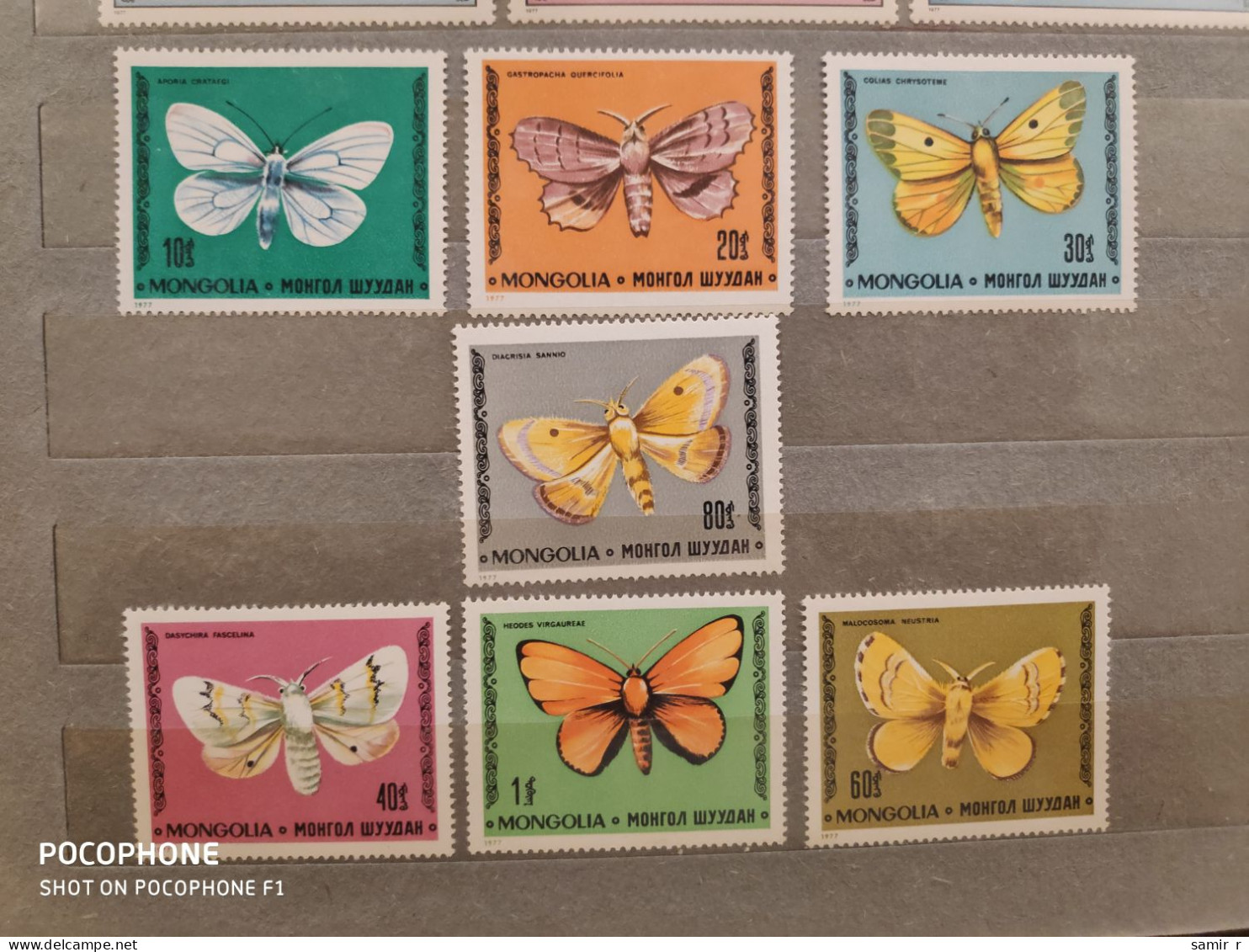 1977	Mongolia	Butterflies  (F90) - Mongolië