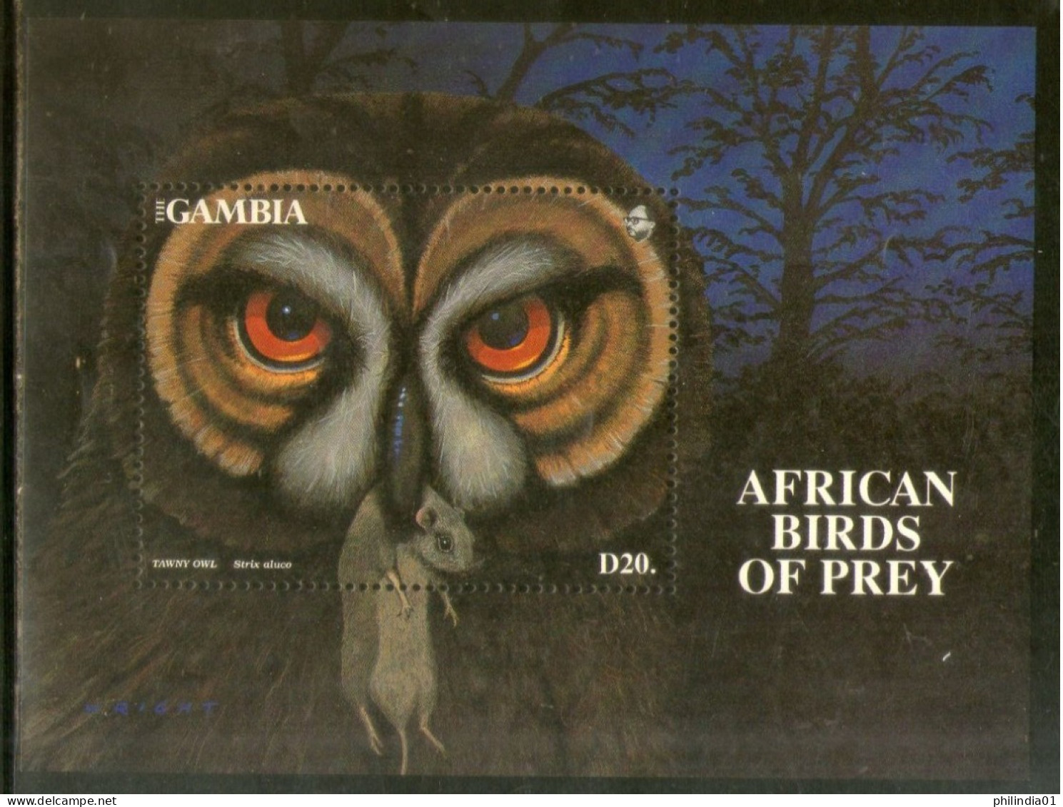 Gambia 1993 Owl Birds Of Prey Sc 1377 M/s MNH # 5514 - Gufi E Civette