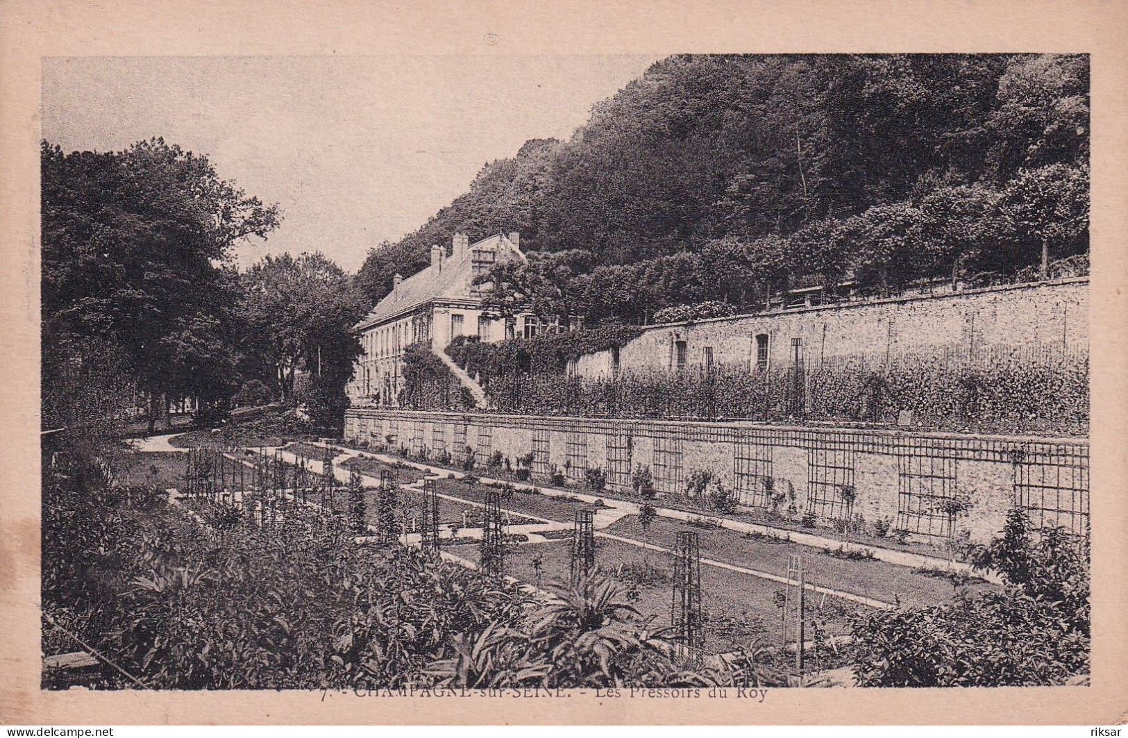 CHAMPAGNE SUR SEINE(LES PRESSOIRS DU ROY) - Champagne Sur Seine