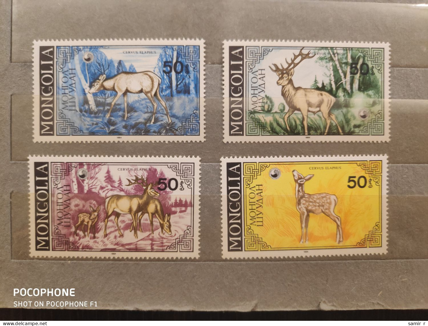 1984	Mongolia	Animals    (F90) - Mongolië