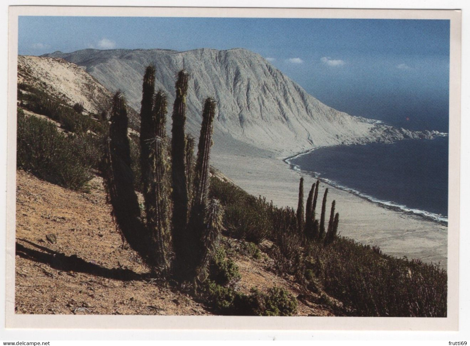 AK 214624 CHILE - Pazifikküste Im Nationalpark Pan De Azúcar - Atacama - Chili