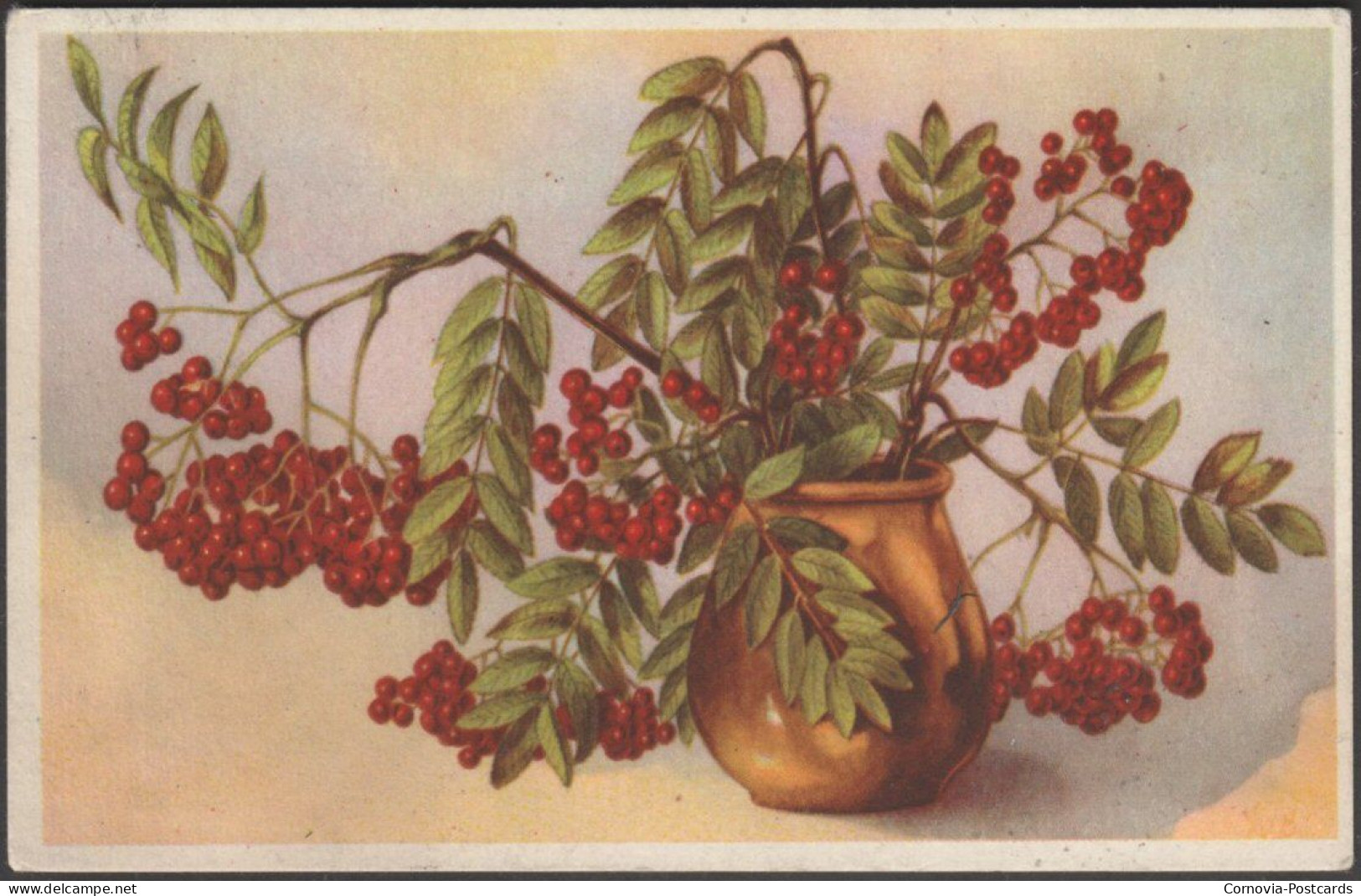 Still Life With Rowan, C.1930s - Postcard - 1900-1949