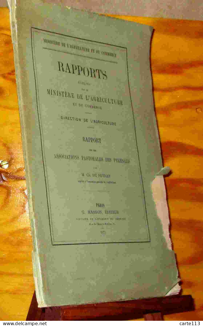 DU PEYRAT Charles - RAPPORT SUR LES ASSOCIATIONS PASTORALES DES PYRENEES - 1801-1900