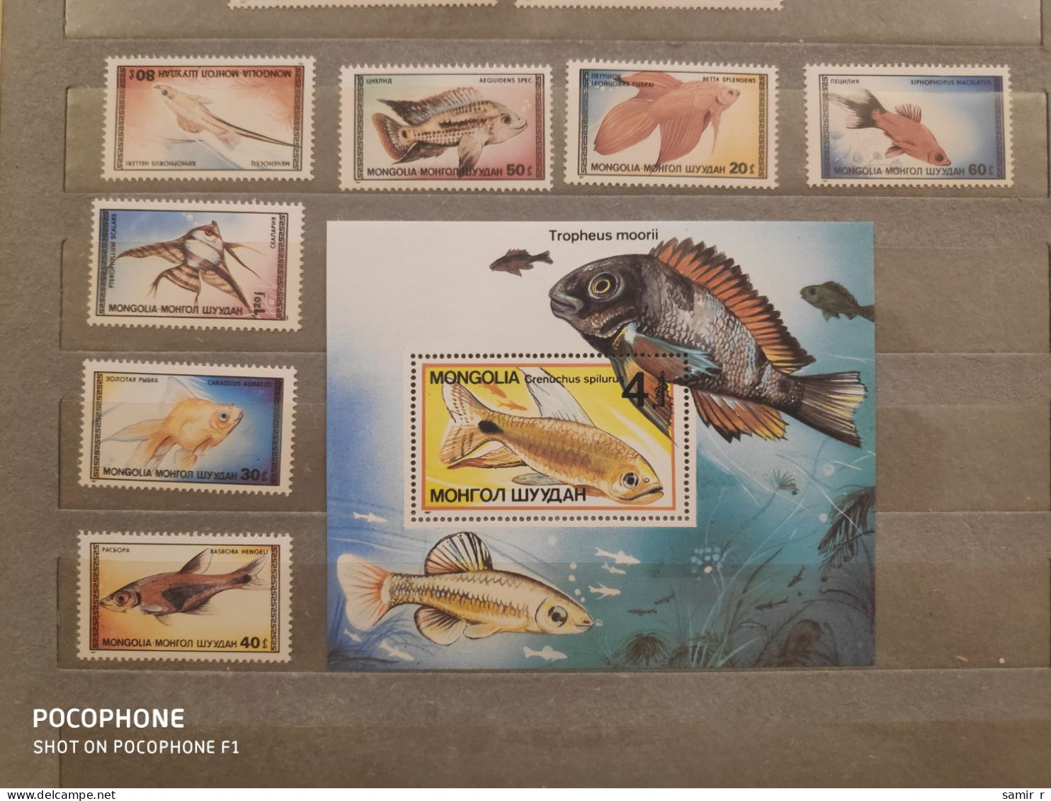 1987	Mongolia	Fishes  (F90) - Mongolie