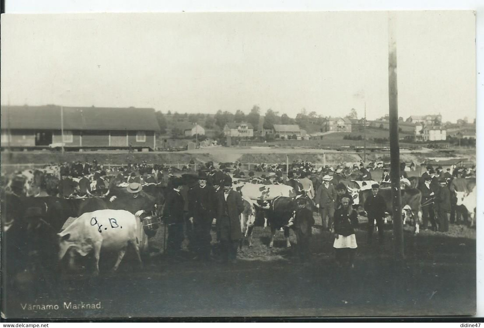 SUEDE - Varnamo - Marknad - Marché Aux Bestiaux - Suède