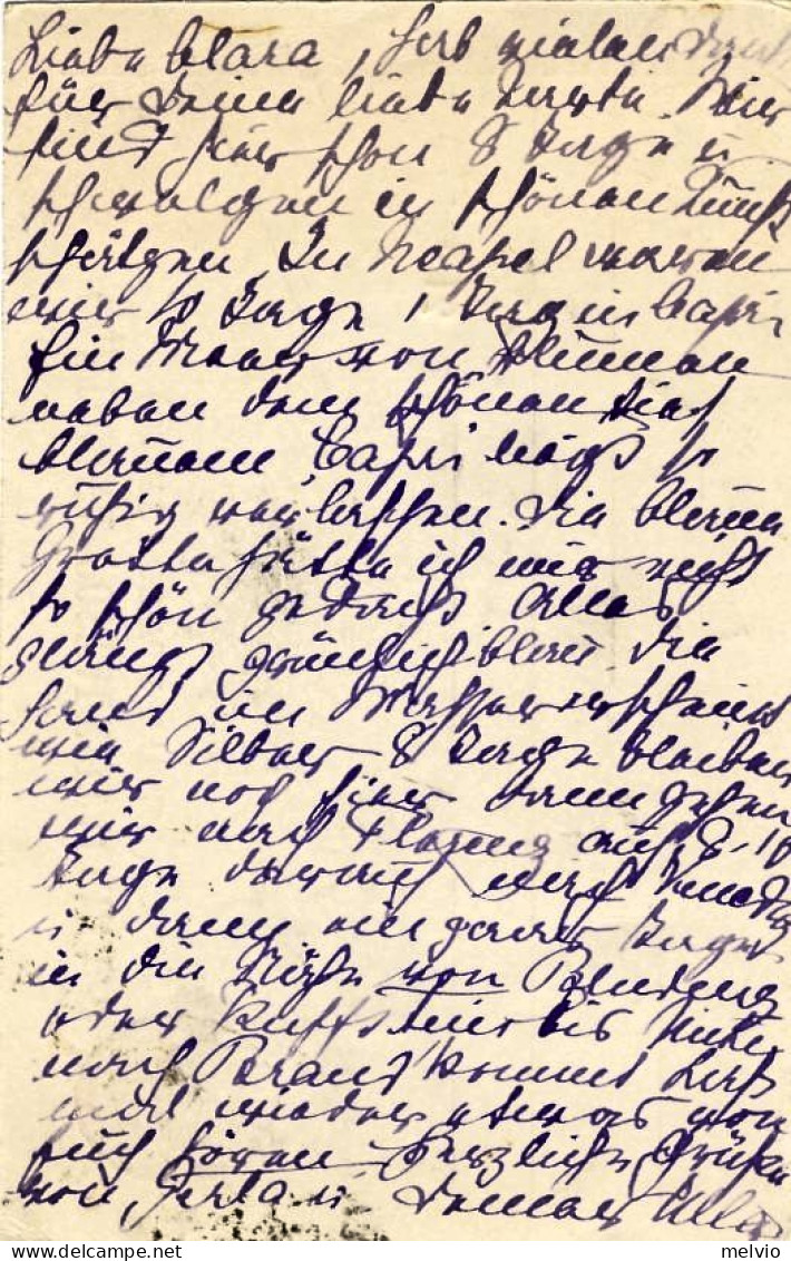 1899-cartolina Postale 10c.Umberto I Effigie Ovale Diretta In Germania Cat.Unifi - Interi Postali