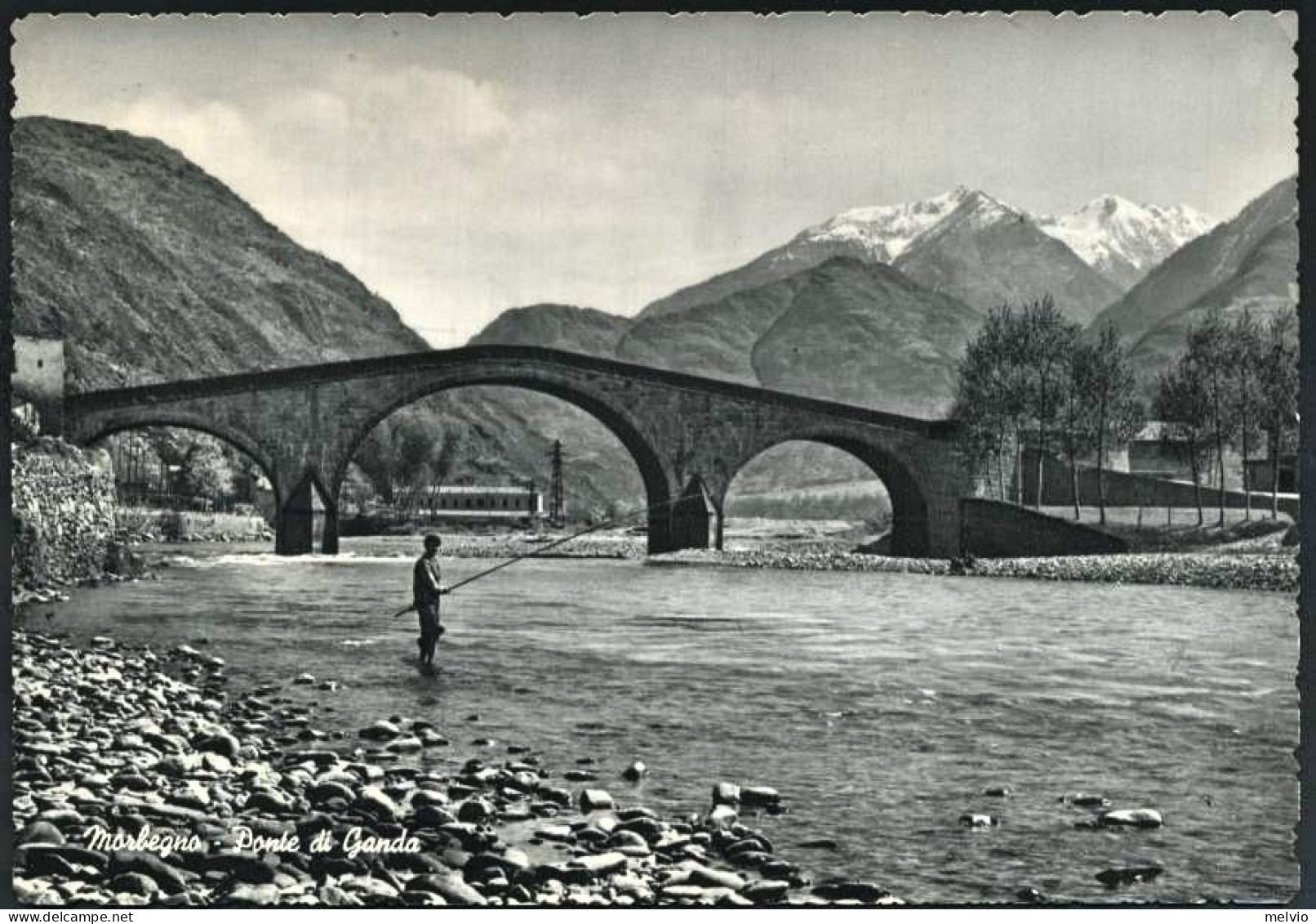 1960-Sondrio Cartolina "Morbegno-Ponte Di Ganda"affrancata L.5+L.10 Olimpiade+L. - Sondrio