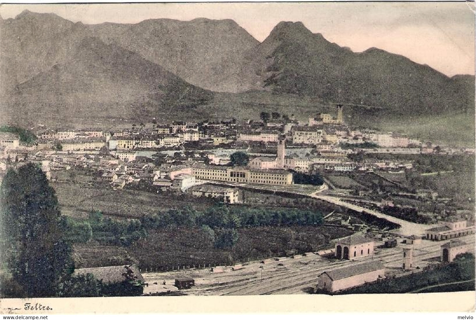 1903-"Feltre"affrancata 2c.Floreale - Belluno