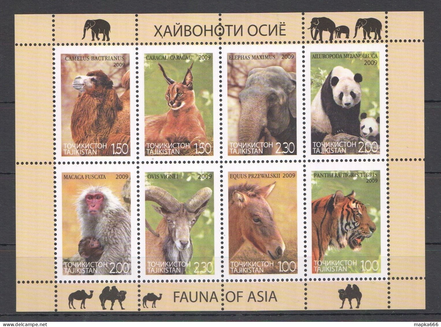 Ec187 2009 Tajikistan Wwf Fauna Of Asia Animals 1Kb Mnh - Neufs