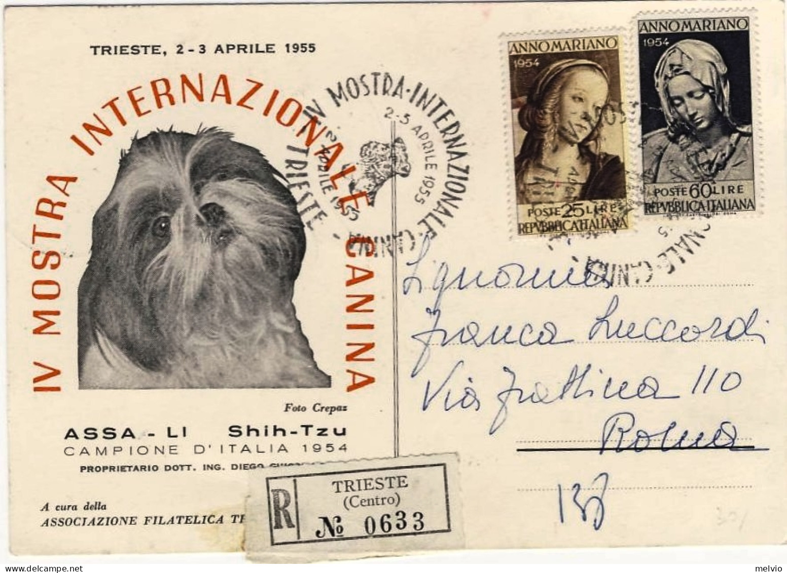 1955-cartolina IV Mostra Internazionale Canina Racc.affr. S.2v."Anno Mariano" An - Esposizioni