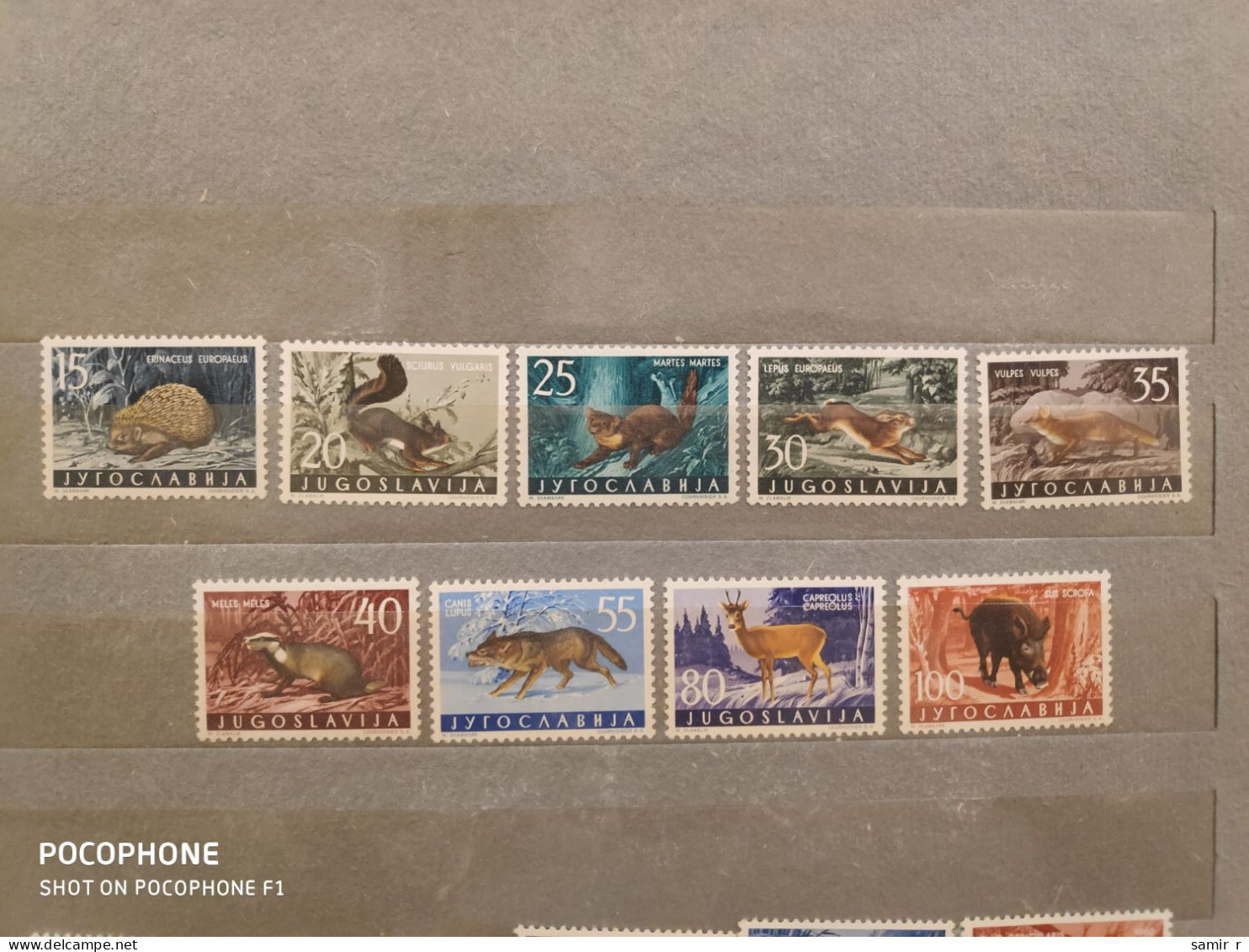 1956	Yugoslavia	Fishes (F90) - Nuevos